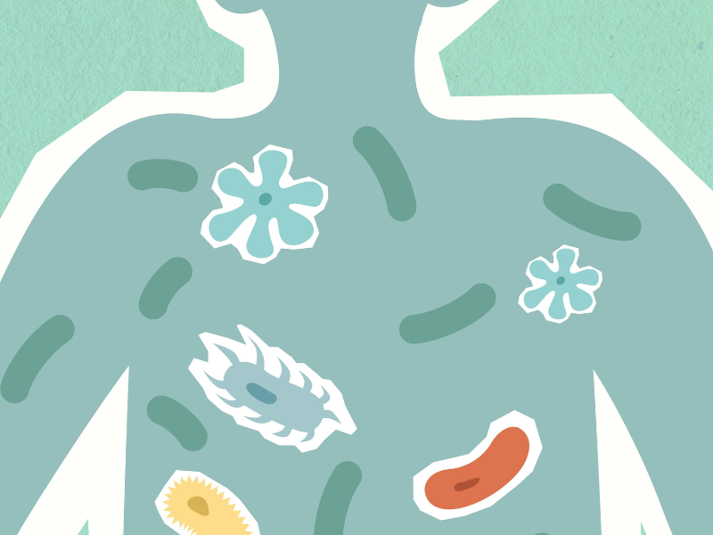 graphic art image of a human outline with representations of gut microbes
